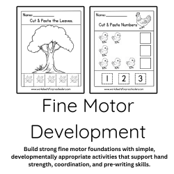 Fine Motor