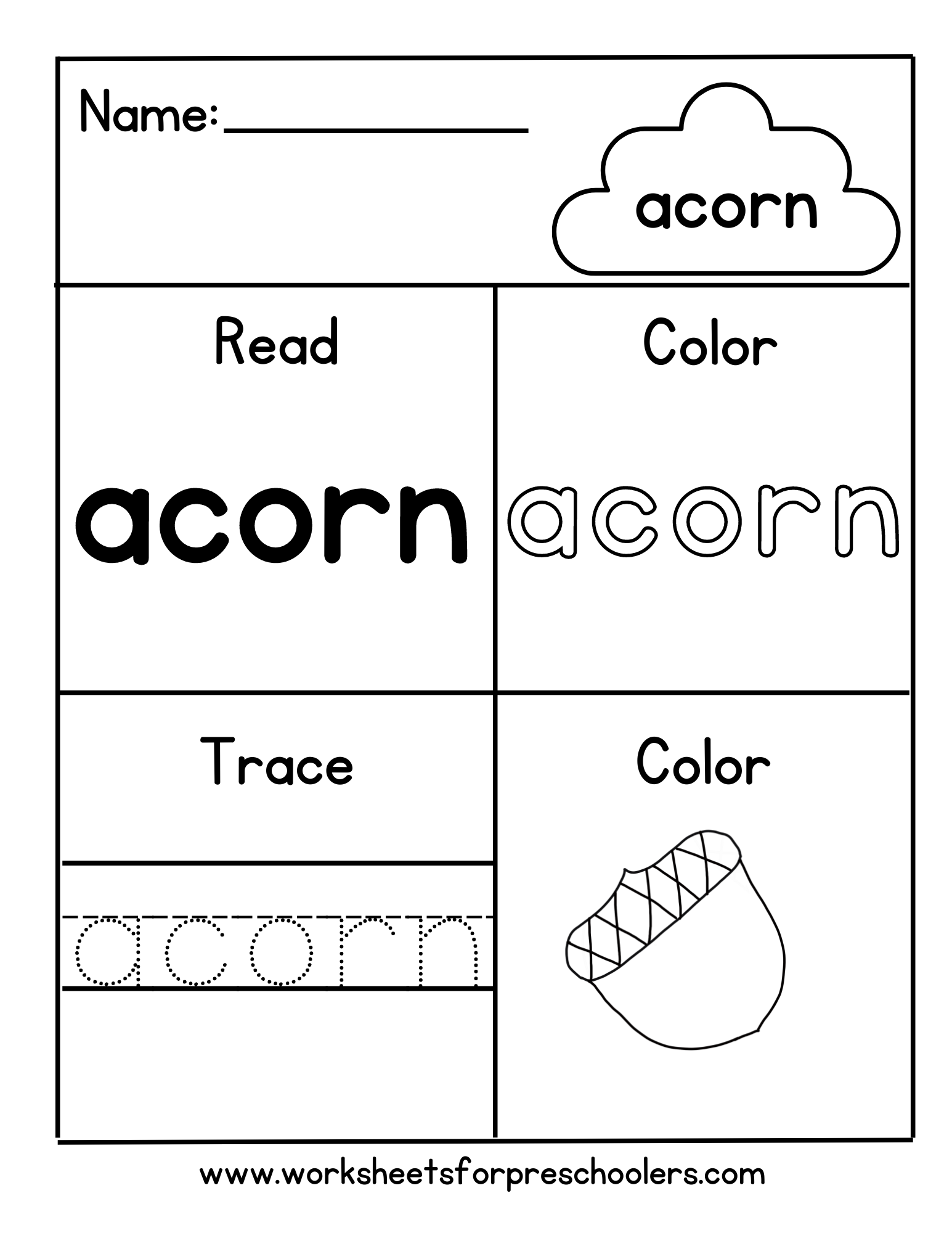 acorn worksheet