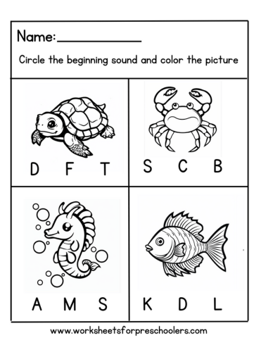 Beginning Sound Ocean Theme