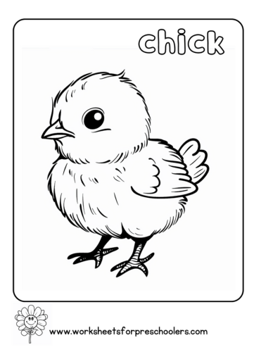 Chick Coloring Page Preschool