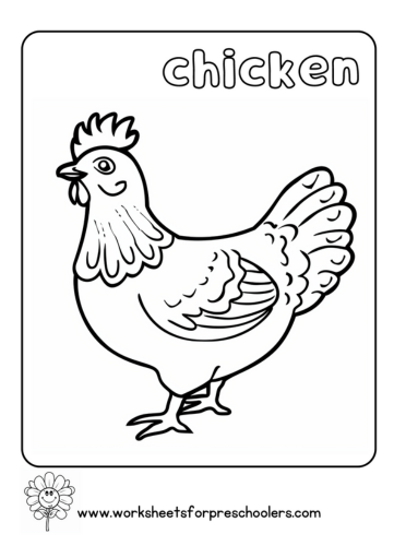 Chicken Coloring Page Preschool