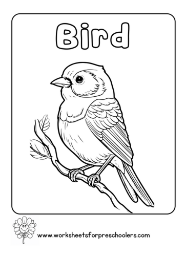 Bird  Coloring Page Activity