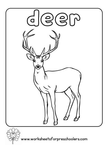 Deer Coloring Page