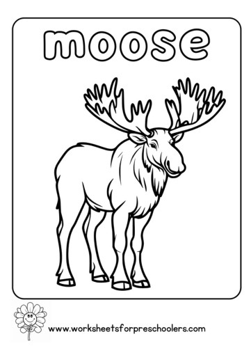 Moose Coloring Page