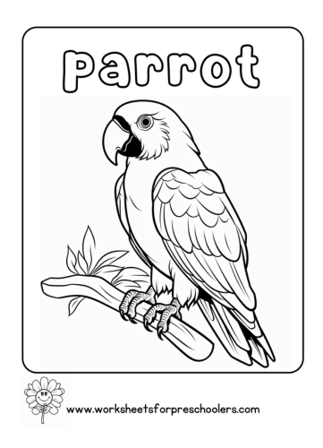 Parrot Coloring Page Activity Sheet