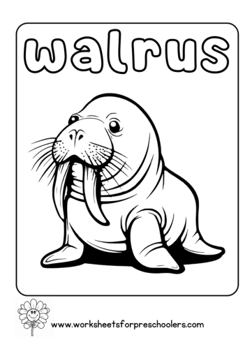Walrus Coloring Page