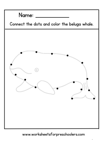 Connect the Dots Beluga Whale