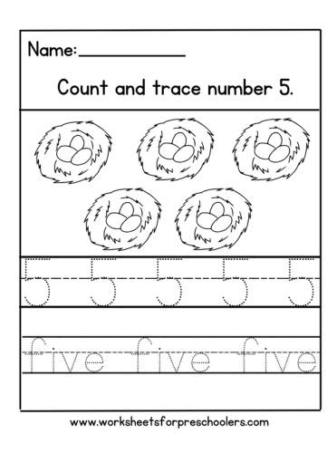 Birdwatching Number 5 Math Worksheet