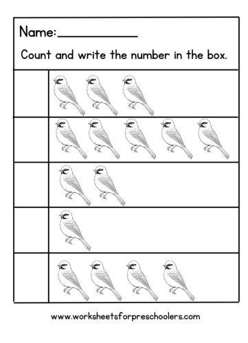 Bird Count and Write Number Worksheet