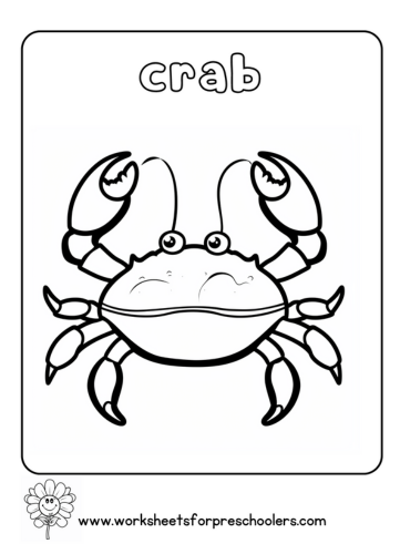 Crab Coloring Page Preschool