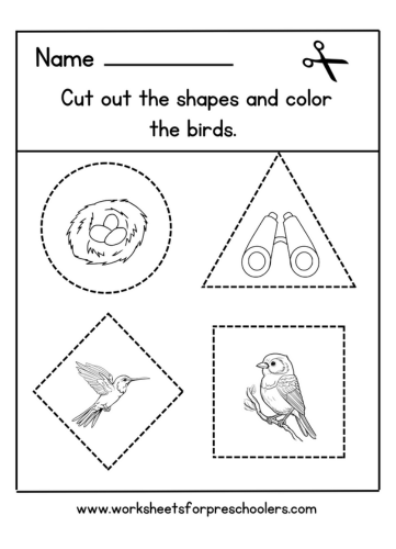 Birdwatching Shapes Activity Worksheet