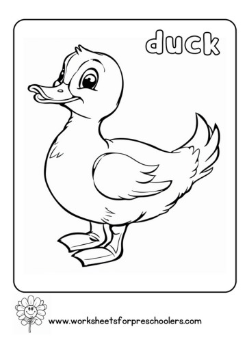 Duck Coloring Page Preschool
