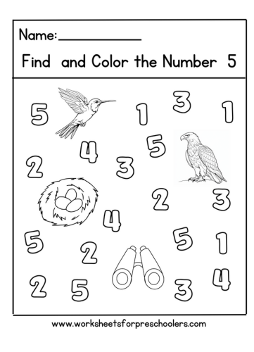 Birdwatching Find and Color Number 5 Worksheet