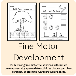 Fine Motor Development