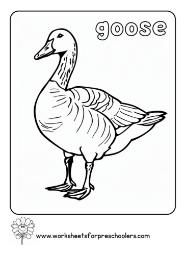 Goose Coloring Page Preschool
