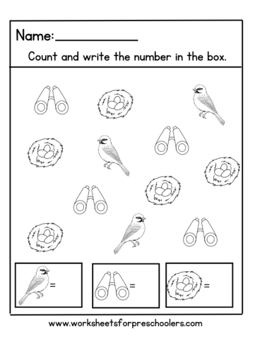Birdwatching Theme Counting Worksheet