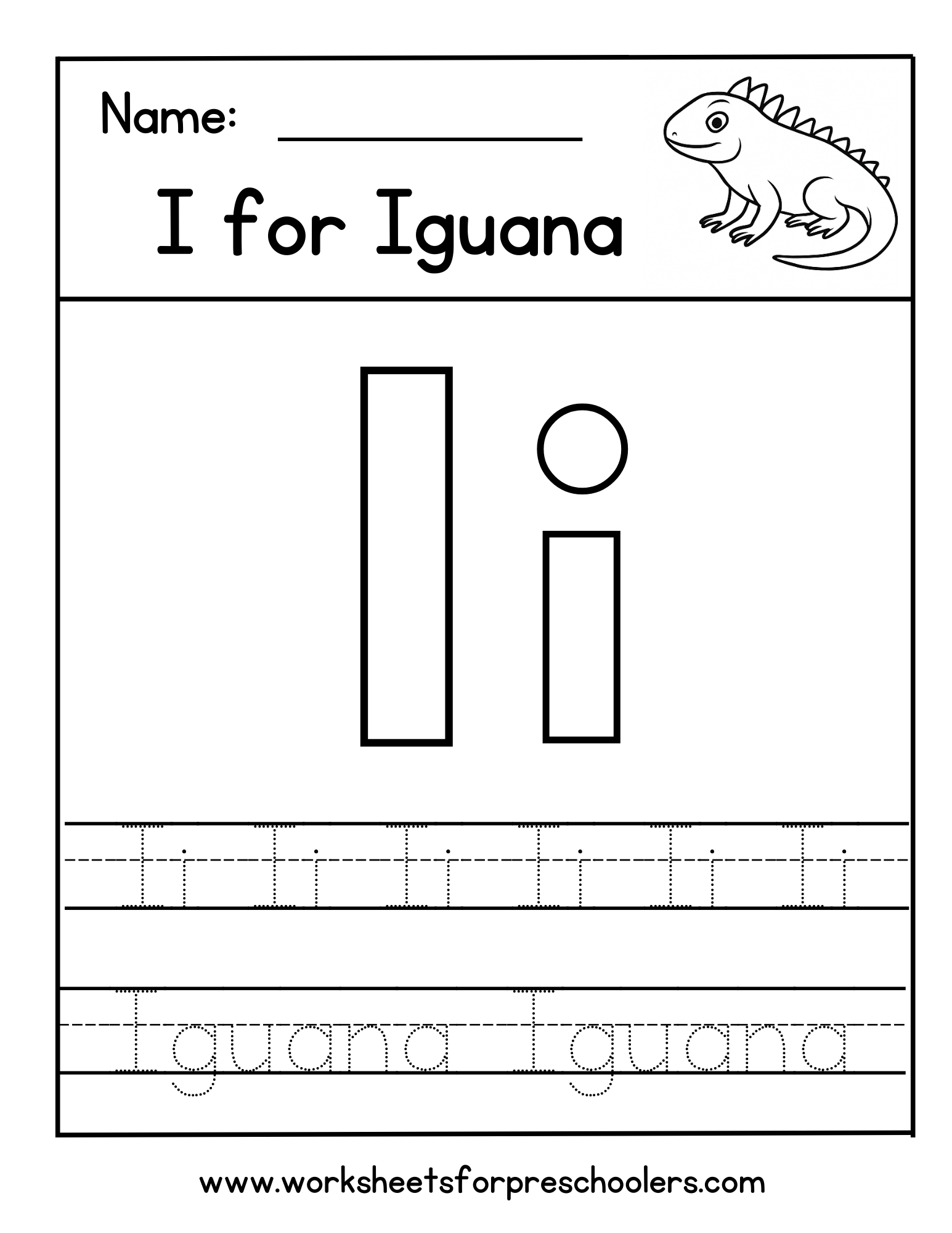 Iguana