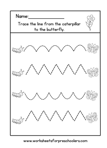 Caterpillar to Butterfly Worksheet