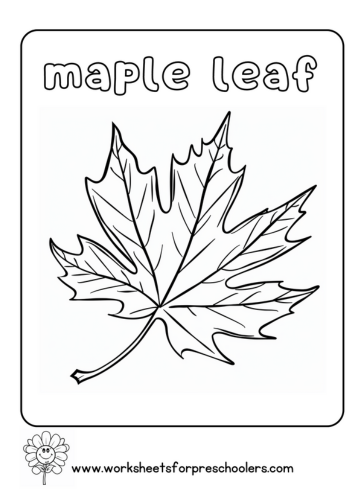 Maple Leaf Coloring page-small