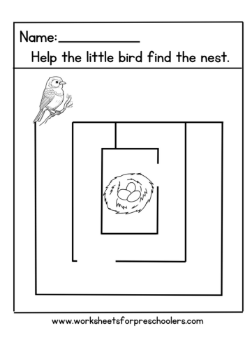 Bird Maze Activity Sheet