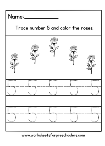 Number 5 Math Flower Worksheet