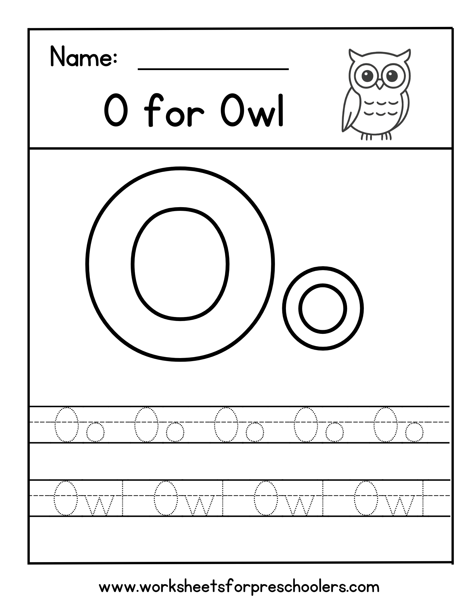 Owl