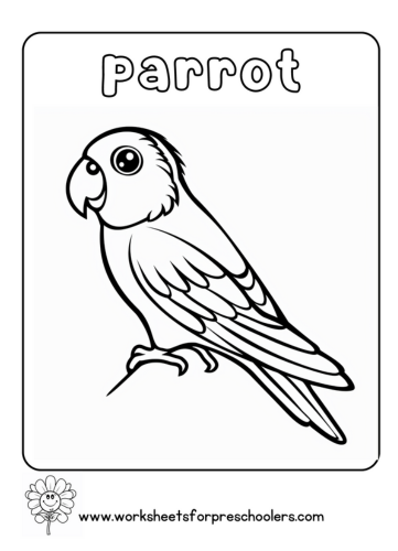 Parrot Coloring Page Preschool