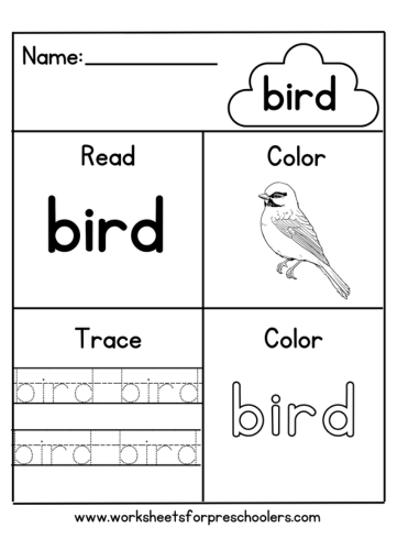 Bird Activity Sheet