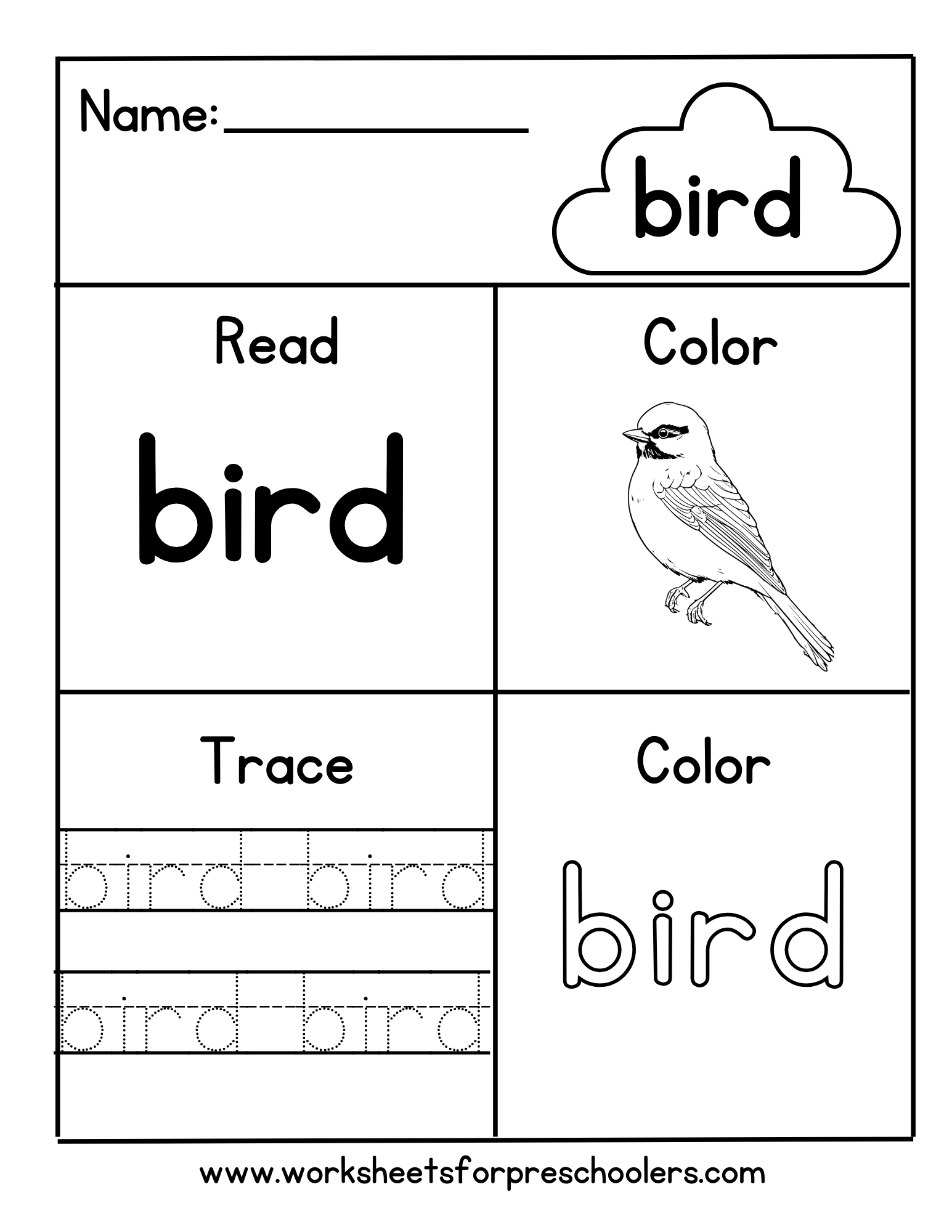 Read and Write Word Bird Worksheet