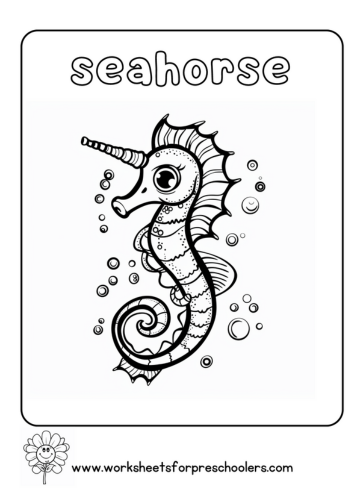 Seahorse Coloring Page Preschool