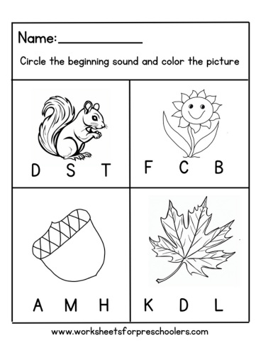 Fall Theme Phonetics Worksheet