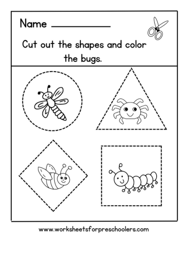 Shapes Activity Worksheet