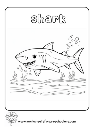 Shark Coloring Page Preschool
