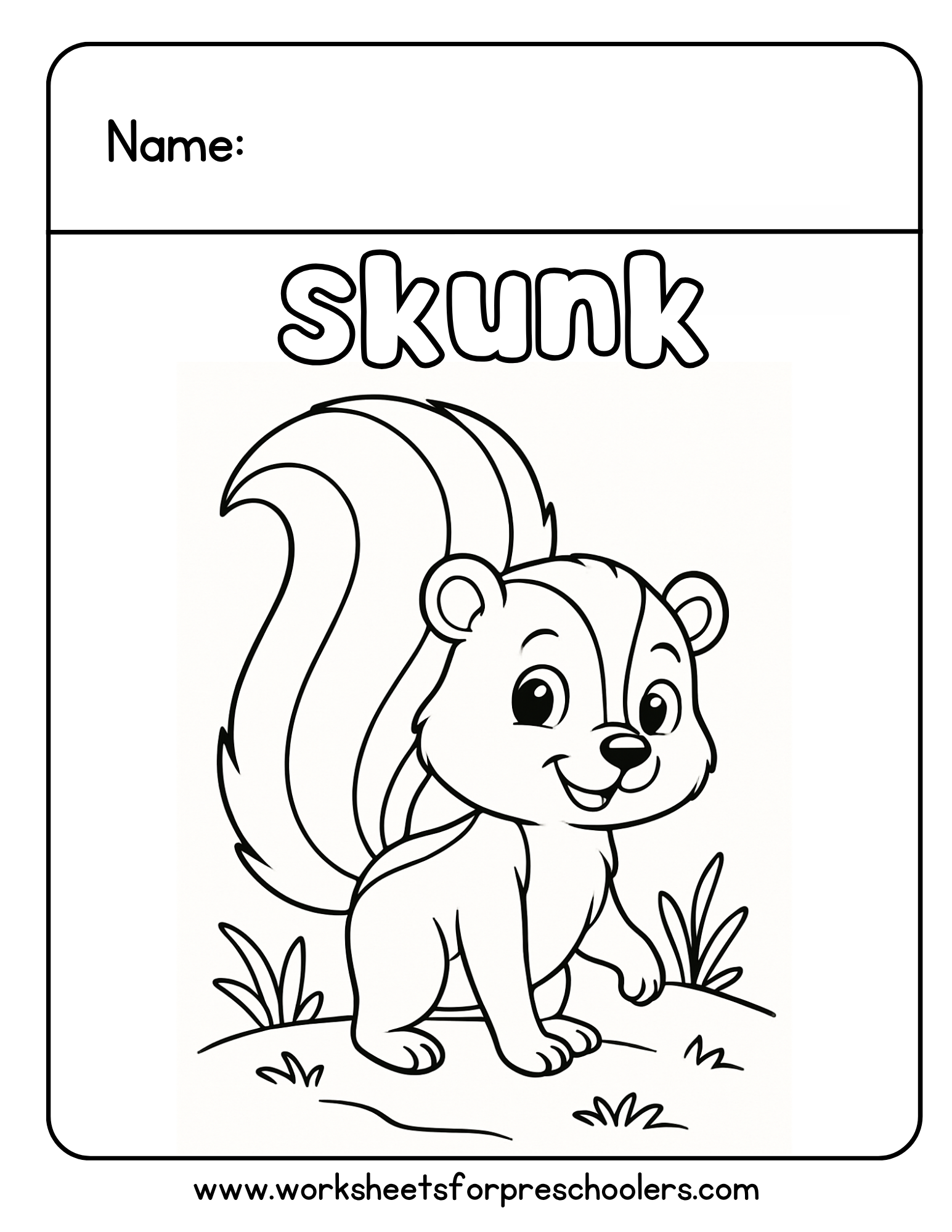 Skunk Coloring Page Skunk Coloring Page
