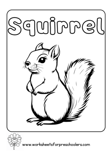 Squirrel Coloring Page
