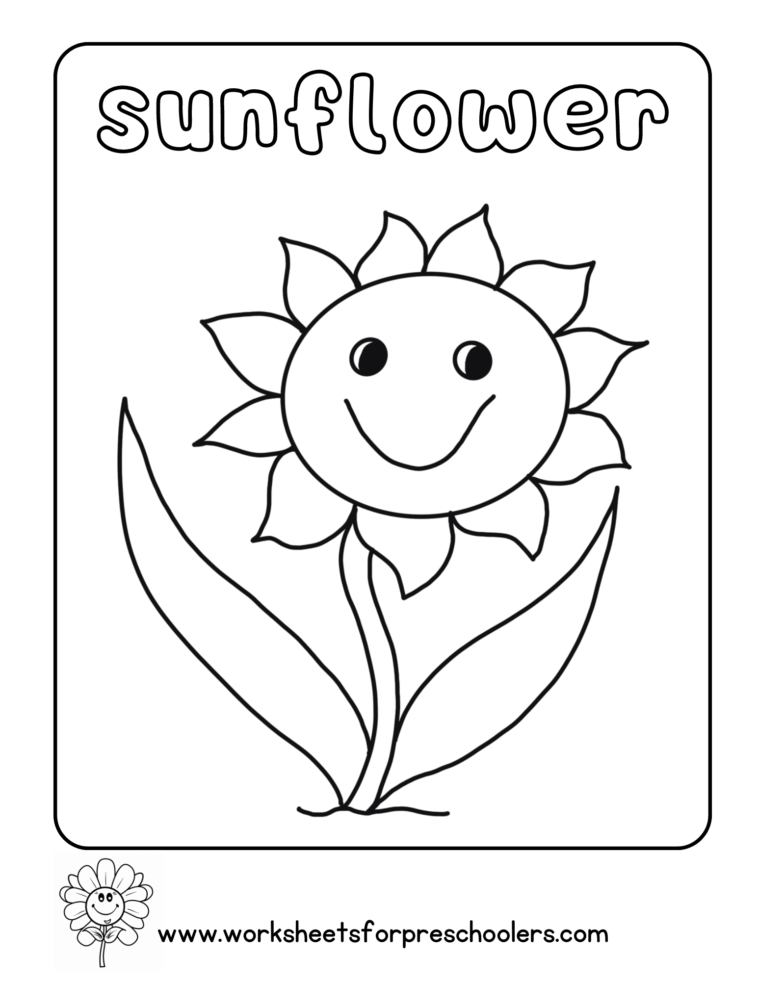 Sunflower Coloring Page Preschool