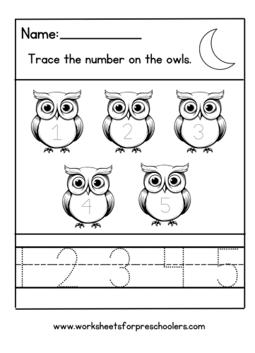 Bird Theme Math Worksheet 