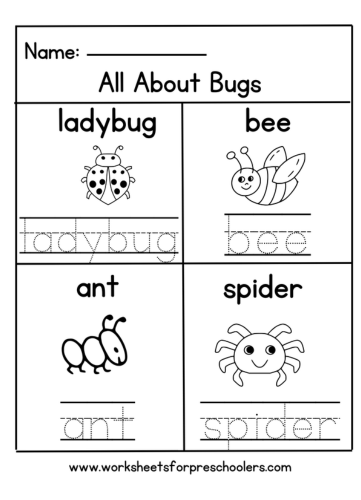 Bug Words Activity Sheet