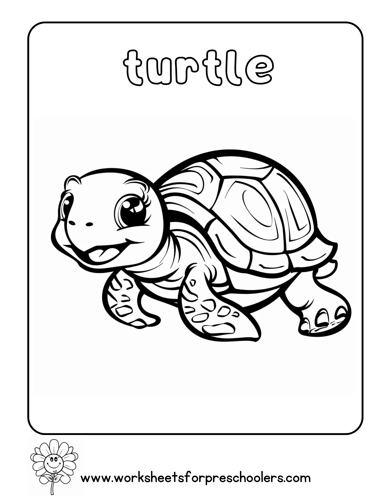 Turtle Coloring Page Preschool