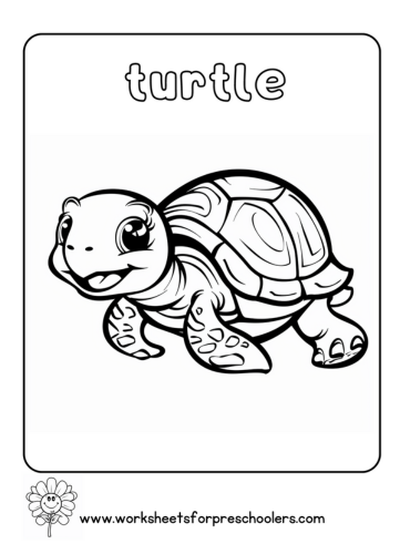 Turtle Coloring Page Preschool