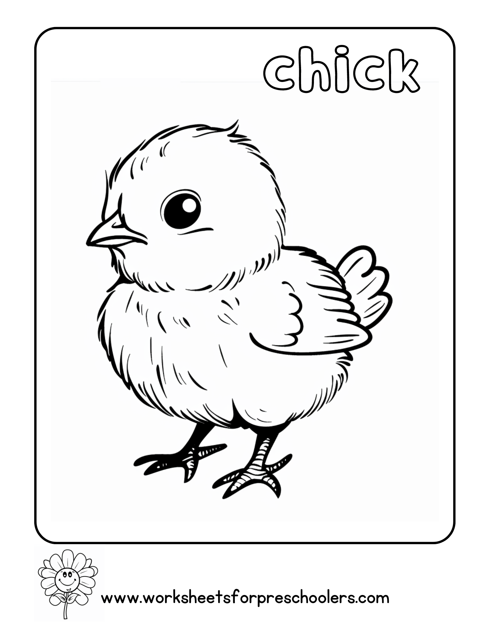 Chick Coloring Page Preschool