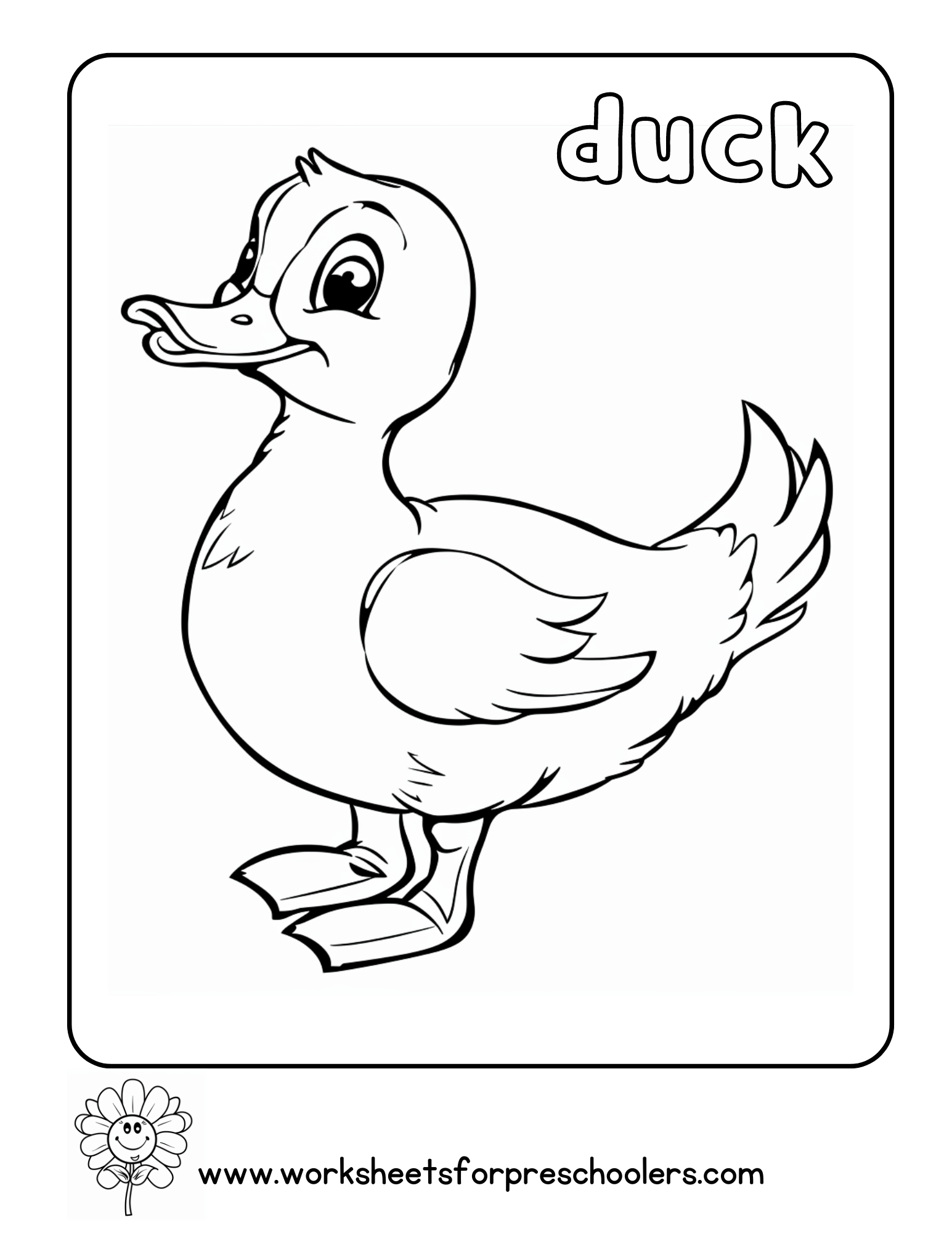 Duck Coloring Page Preschool