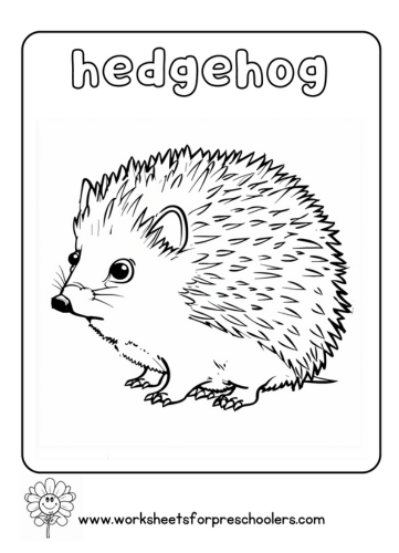 Hedgehog Coloring Page Preschool
