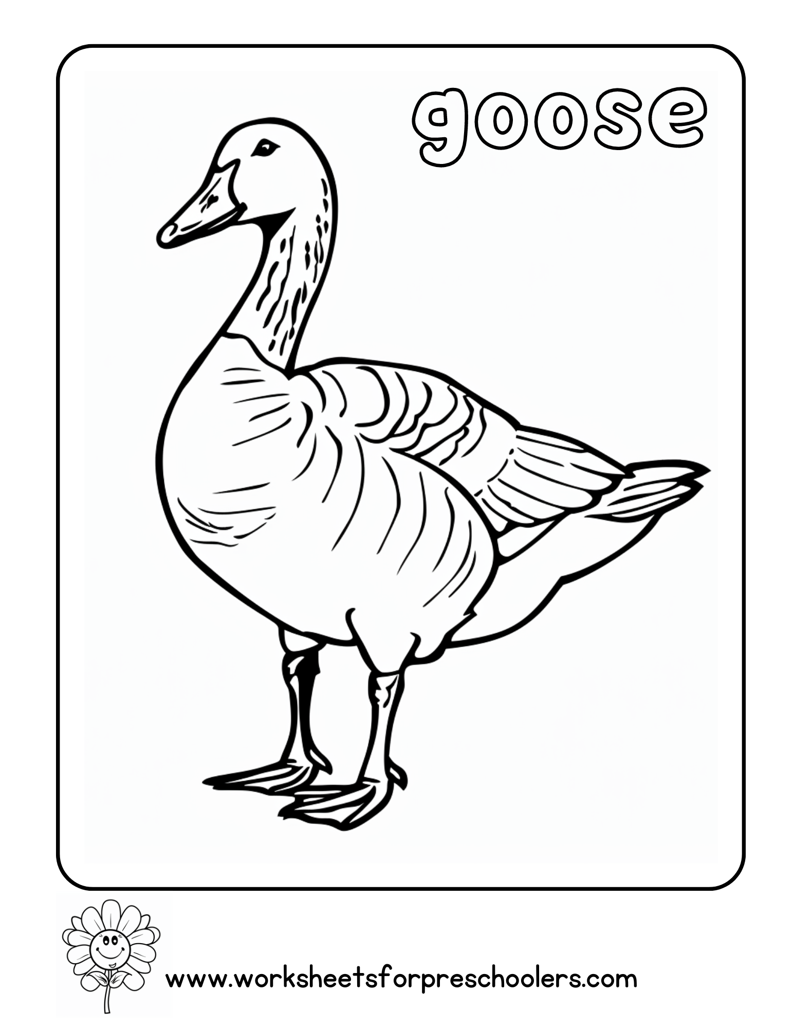 Goose Coloring Page Preschool