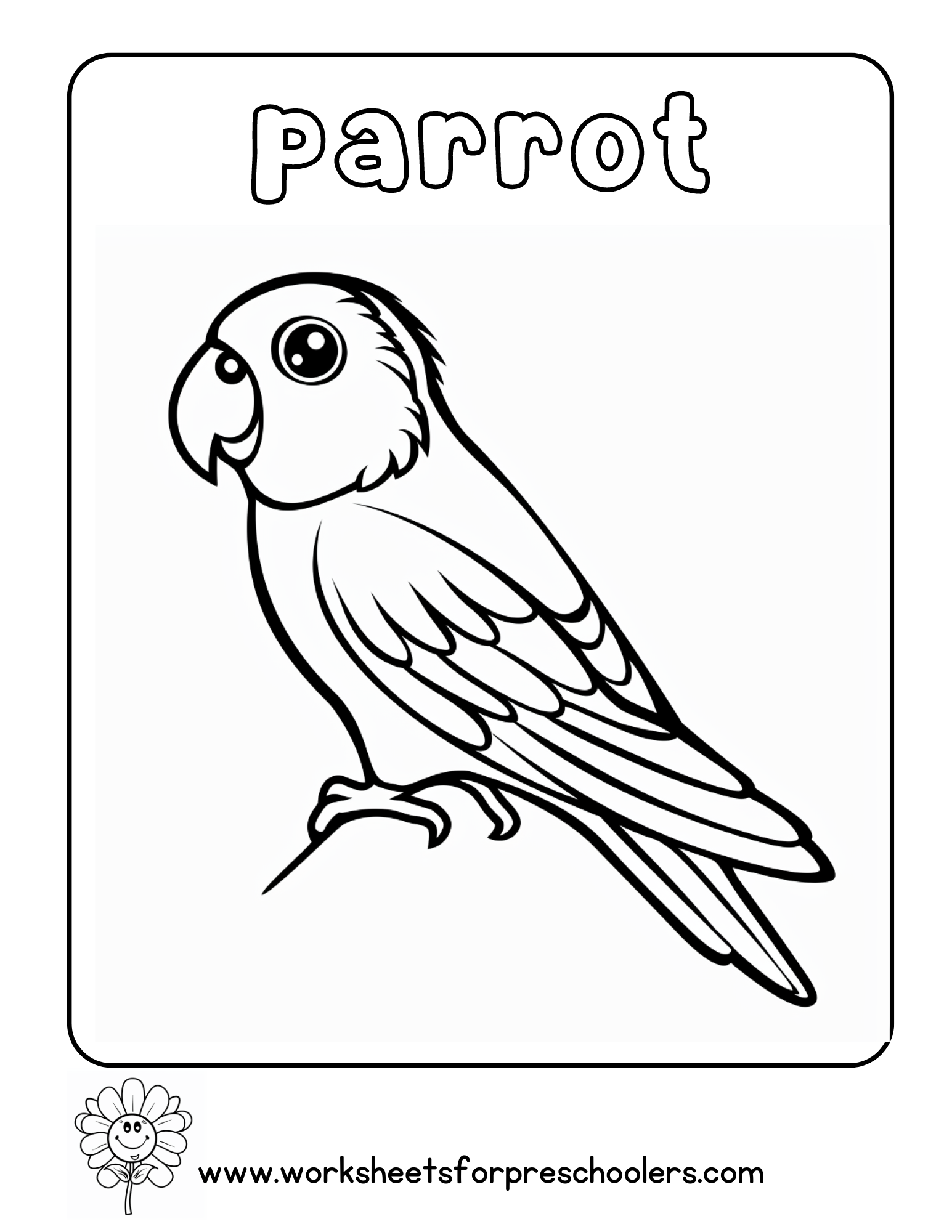 Parrot Coloring Page Preschool